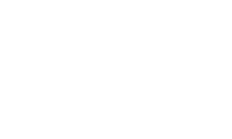 LieberLieber W